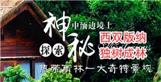 操逼AV网站在线进入