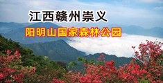 鸽子窝操逼网站大全